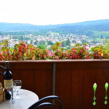 Haus Wildschütz Apartment