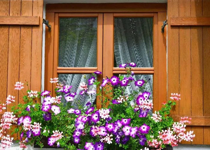 Haus Wildschütz Apartment *